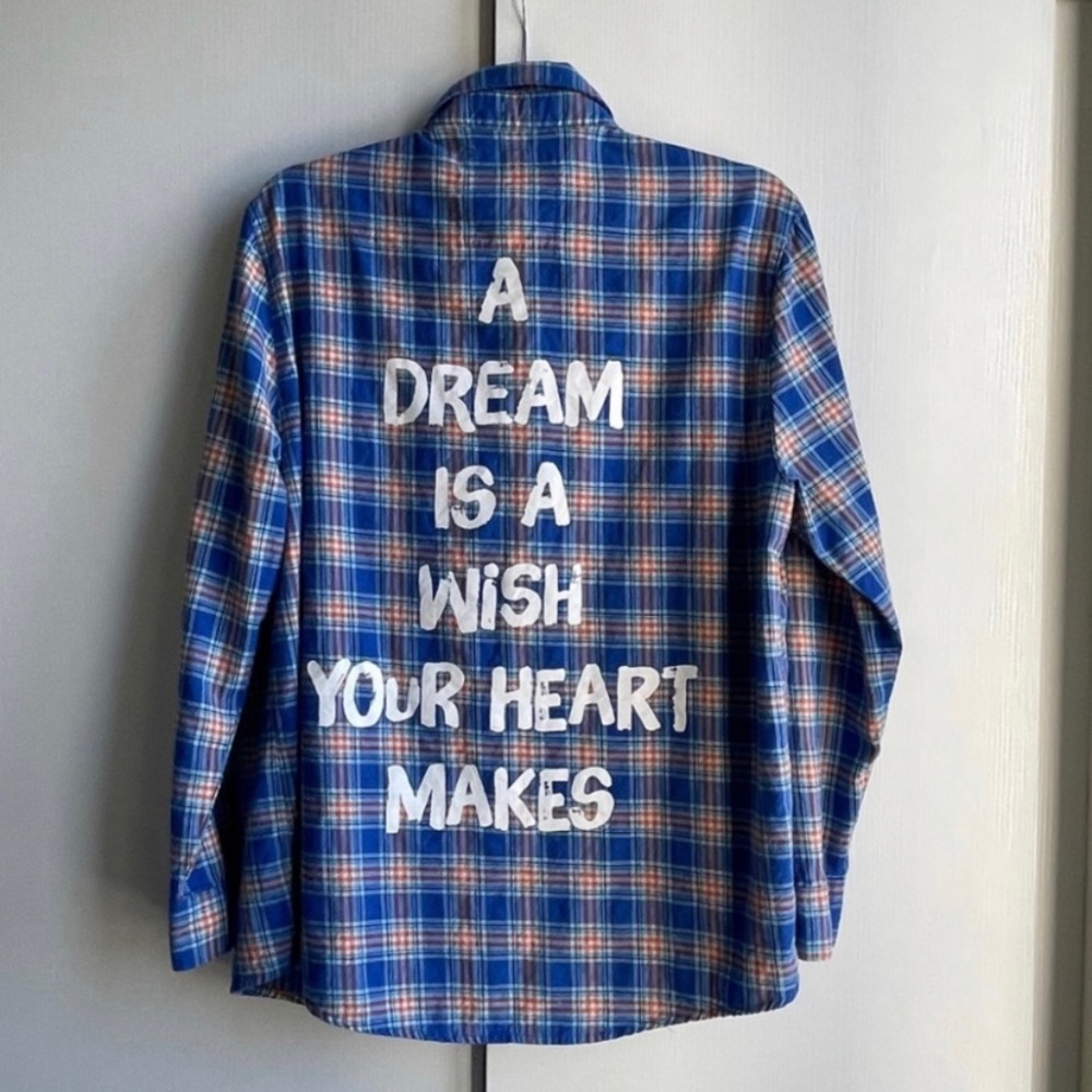 Cinderella flannel shirt - NWOT